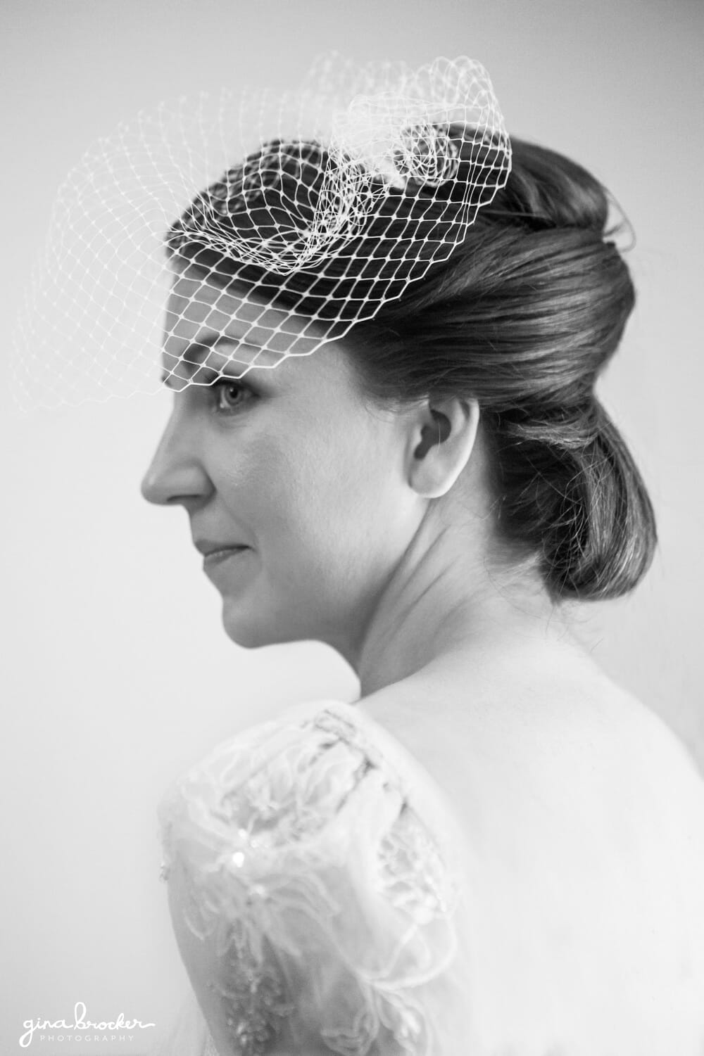 Vintage Bird Cage Veil