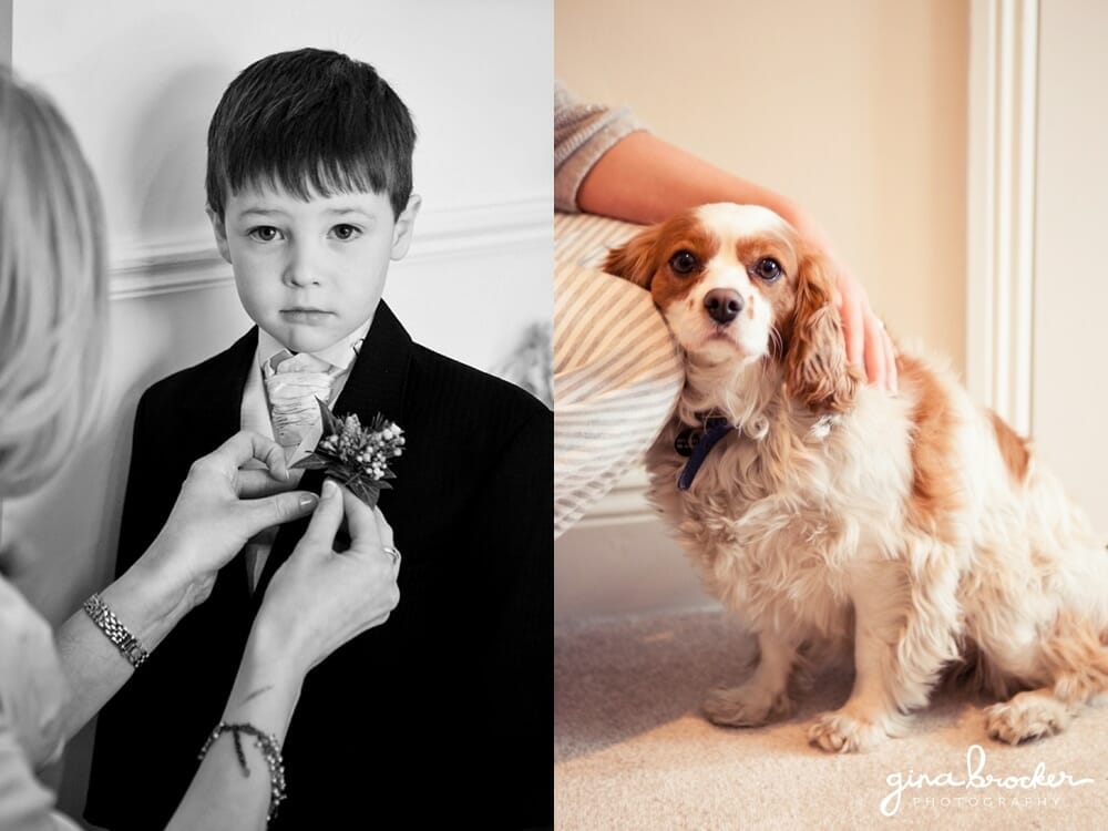 Ring Bearer and Dog 05.Ring.Bearer.Dog.Boston.Wedding.Photographer