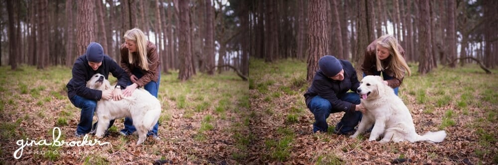 Engagement in Woods with Dog Fun Engagement with Dog in Boston