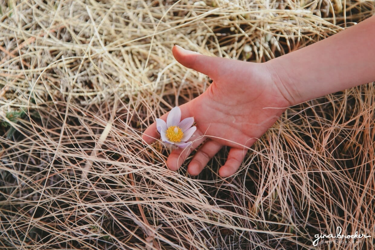 A detail photograph of a child touching a flower in a field