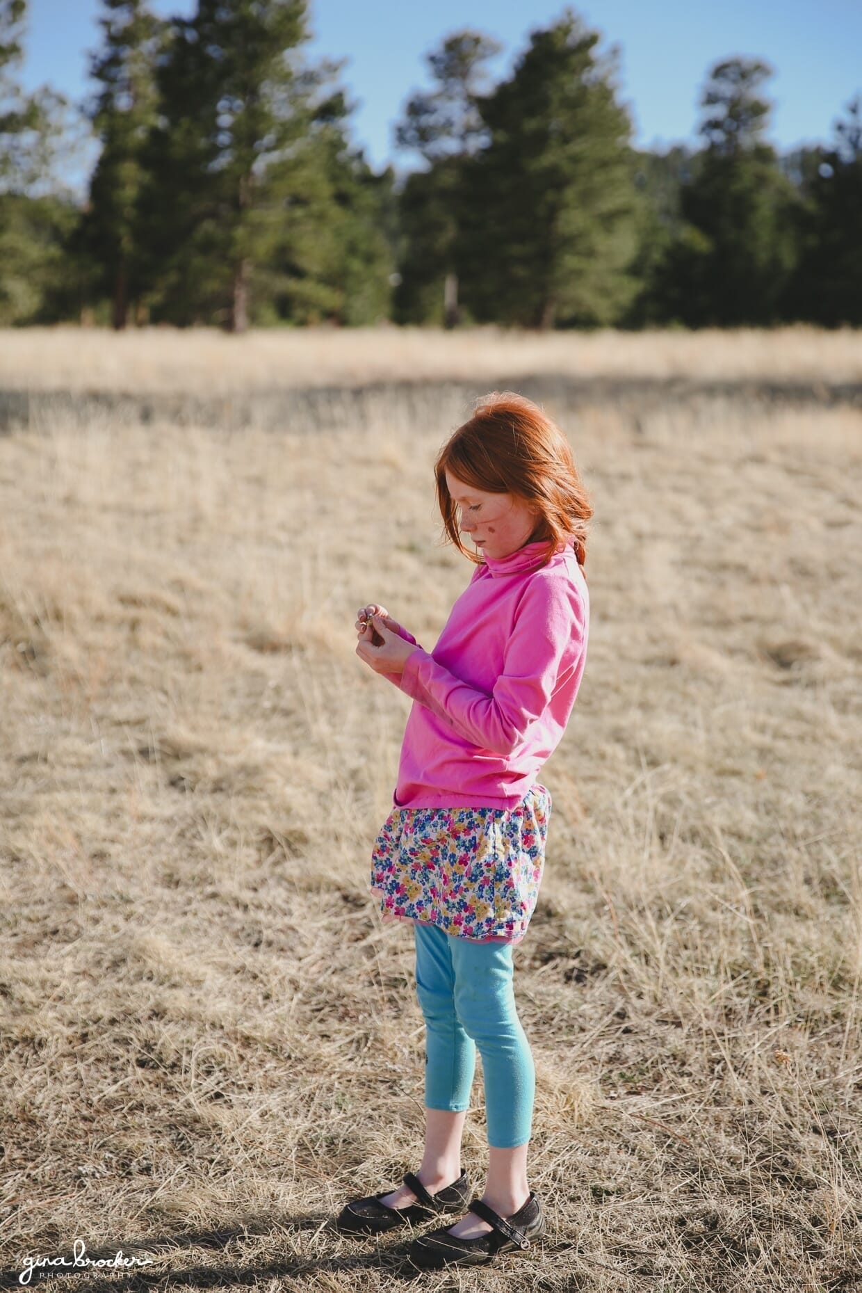 15.girl.in.a.field A young girl looks at a flower in her hand while standing in a field
