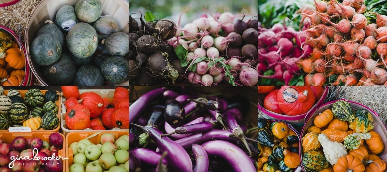 boston-farmers-markets-in-fall