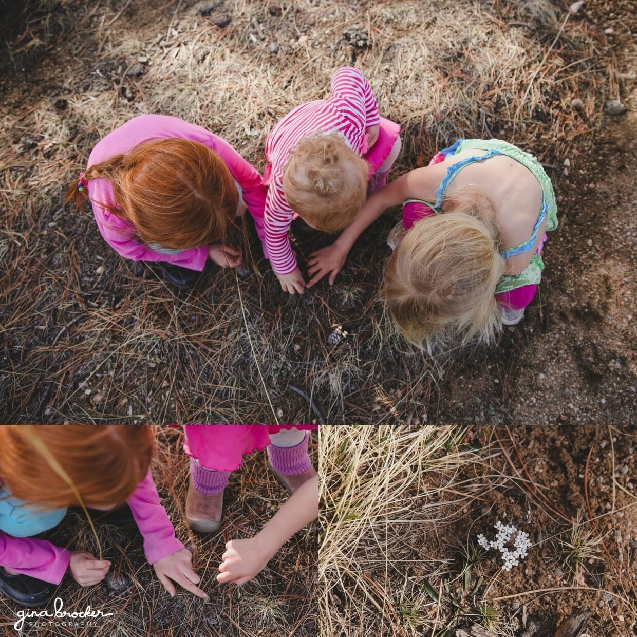 Three kids explore nature during their candid family photo shoot