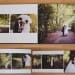 flush mount wedding albums in boston massachusetts