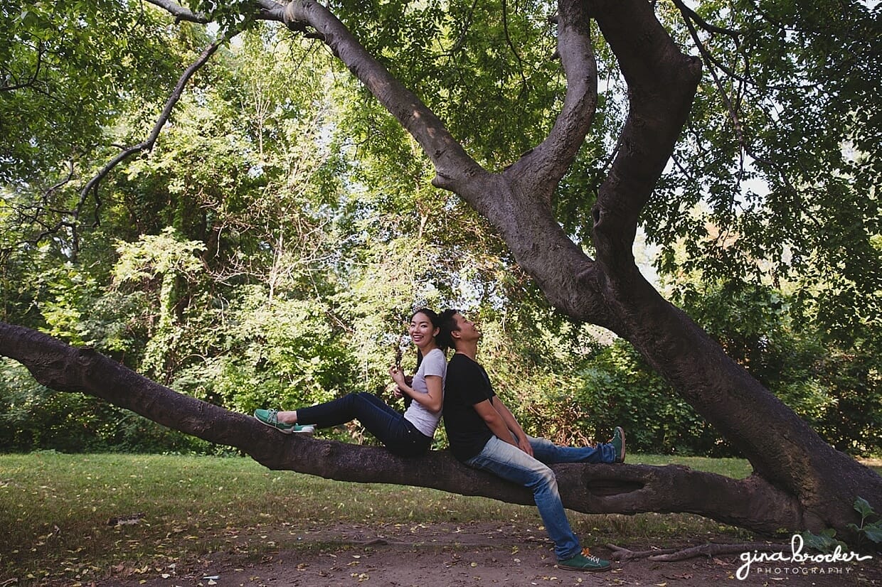 A couple sit back and back on a tree and play music to each other during their park engagement session in Boston's Back Bay Fens
