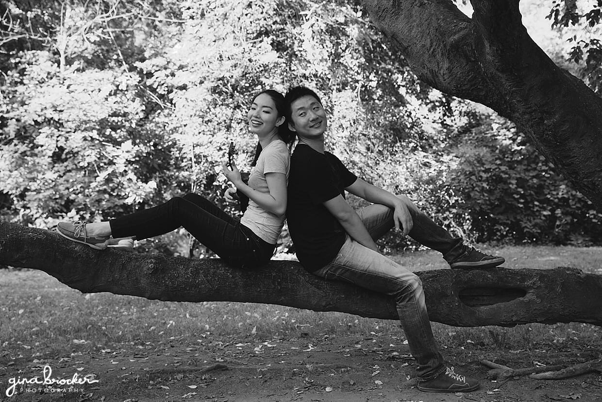 A couple sit back to back on a tree while playing music during their park engagement session in Boston's Back Bay Fens