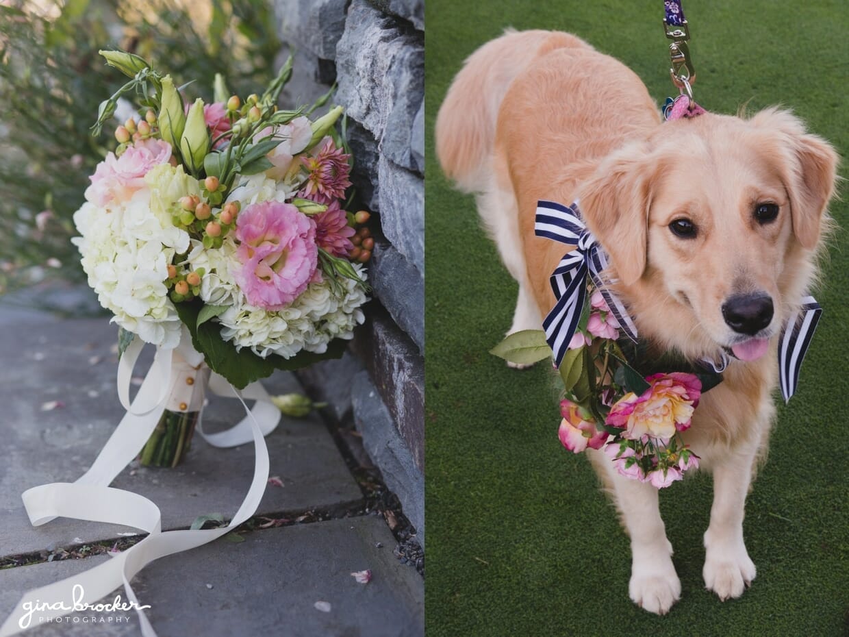 A detail photograph of pink and cream wedding bouquet and a golden retriever wearing a floral collar during a Westmoor Club wedding in Nantucket, Massachusetts