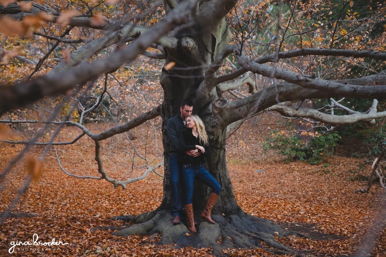 A couple cuddles against a tree in Arnold Arboretum during their fall couple session in Boston, Massachusetts