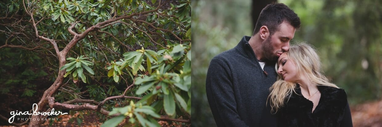 A sweet photograph of a man kissing his girlfriends forehead during their fall couple session at the Arnold Arboretum in Boston, Massachusetts