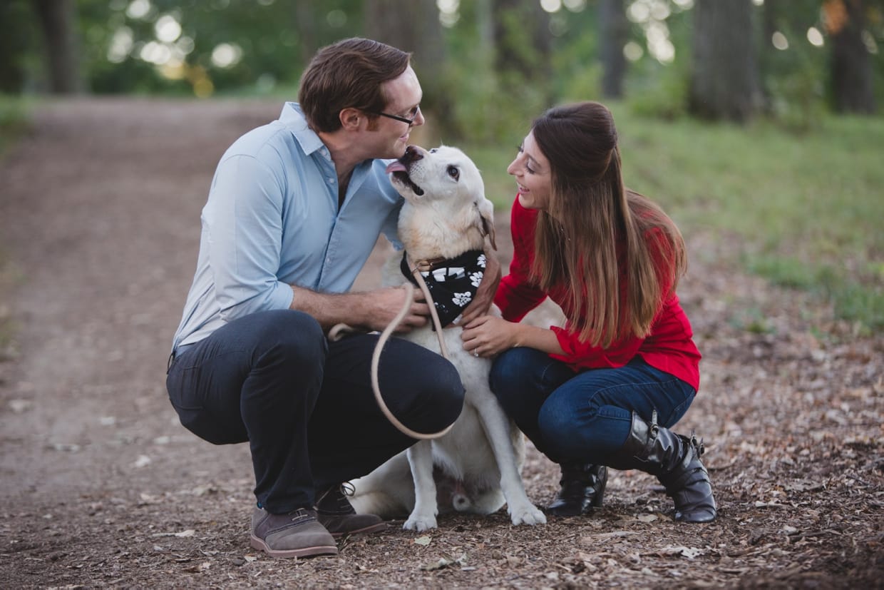 A couple pet their dog during their engagement session at the Boston Arnold Arboretum in Massachusetts