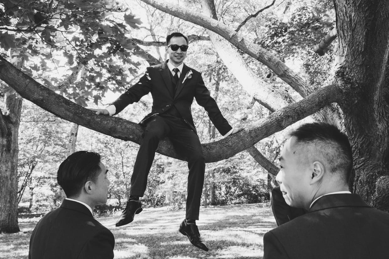 A documentary style photograph of a groomsmen sitting on a tree branch at the Arnold Arboretum in Boston, Massachusetts