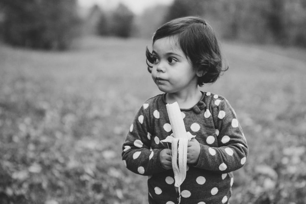 A lifestyle portrait of a little girl eating a banana during a fall mini session at the Arnold Arboretum in Boston, Massachusetts
