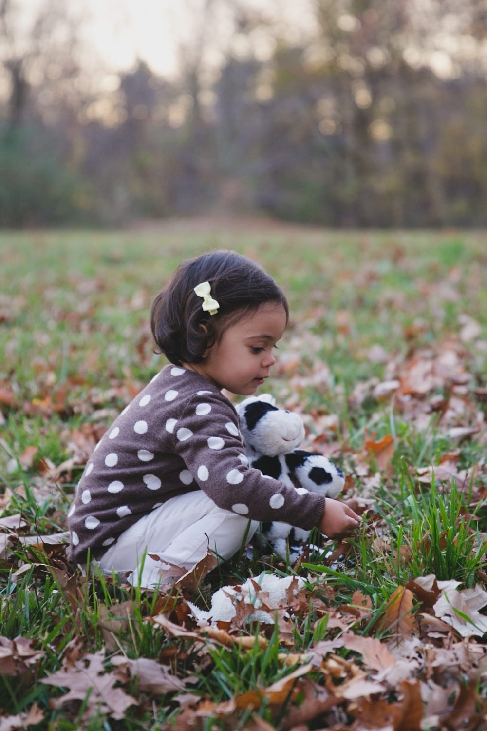 A lifestyle portrait of a little girl picking up leaves during a fall mini session at the Arnold Arboretum in Boston, Massachusetts