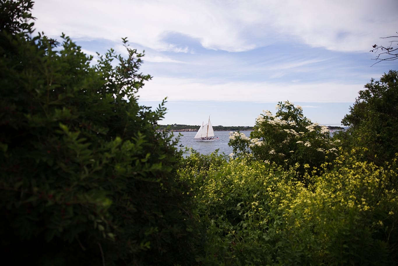 This artistic photograph of the view from Castle Hill Inn is one of the best wedding photographs of 2016