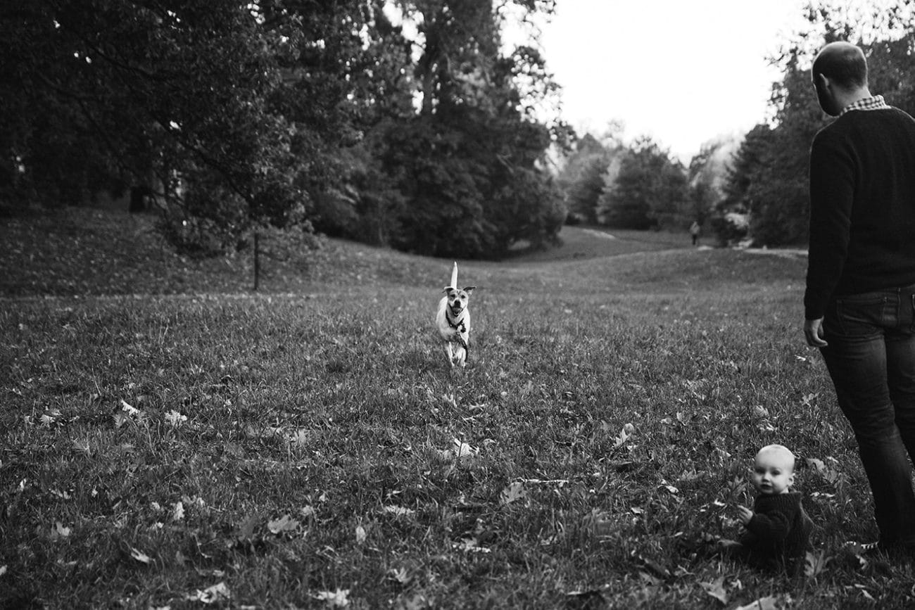 A documentary photograph of a father and baby playing fetch with their dog during an Arboretum Family Session in Boston, Massachusetts