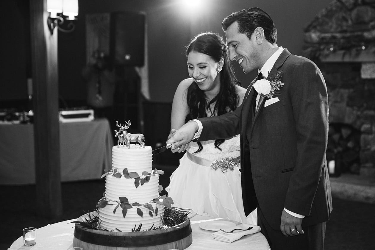 A documentary photograph of a bride and from cutting the cake during their Harrington Farm Wedding in Princeton, Massachusetts