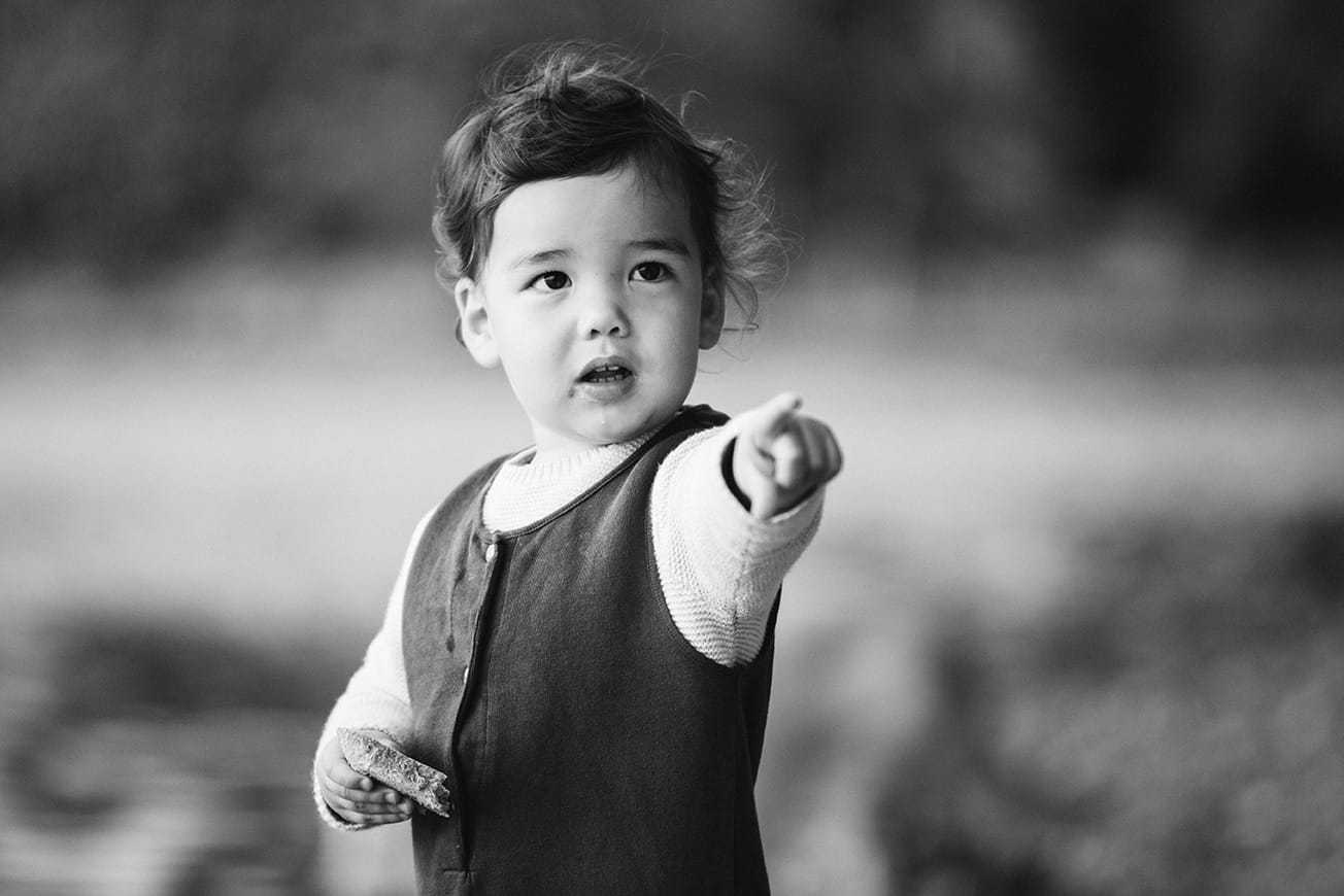A documentary photograph of a toddler pointing at ducks during a Jamaica Pond family photo session in Boston