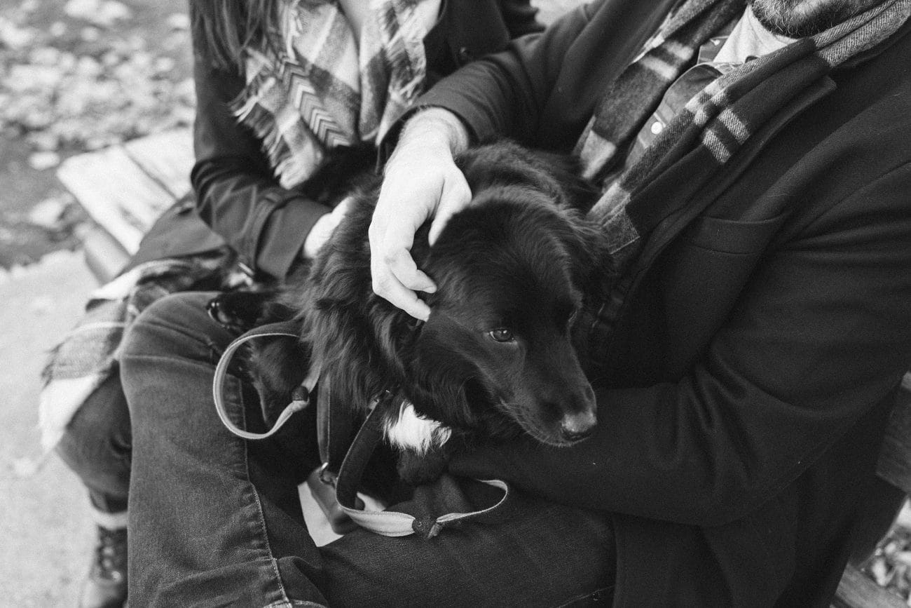 A documentary photograph of a couple holding their dog during a boston engagement session