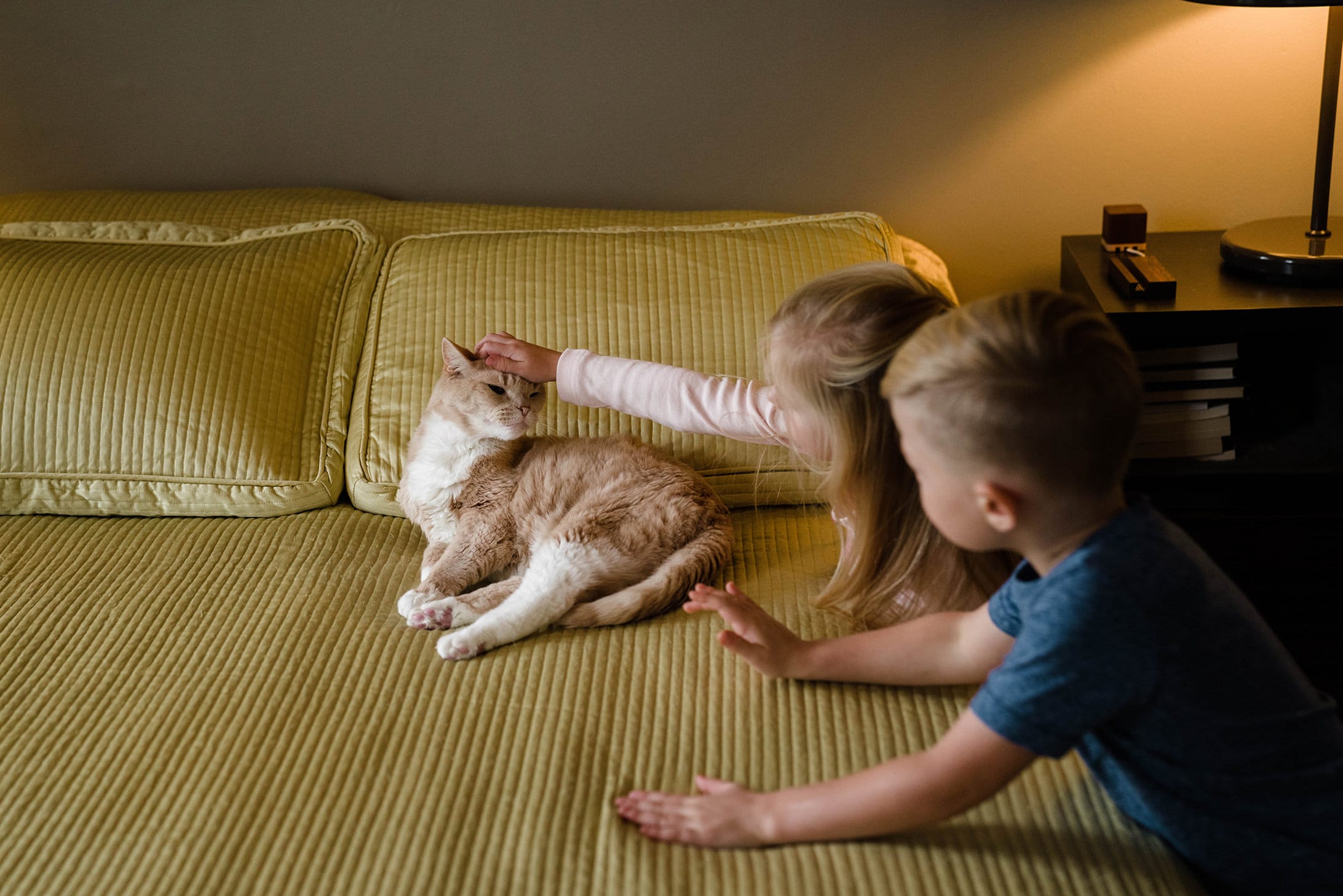 A best of family photograph of two kids petting their cat during an in home family session in the south end of Boston
