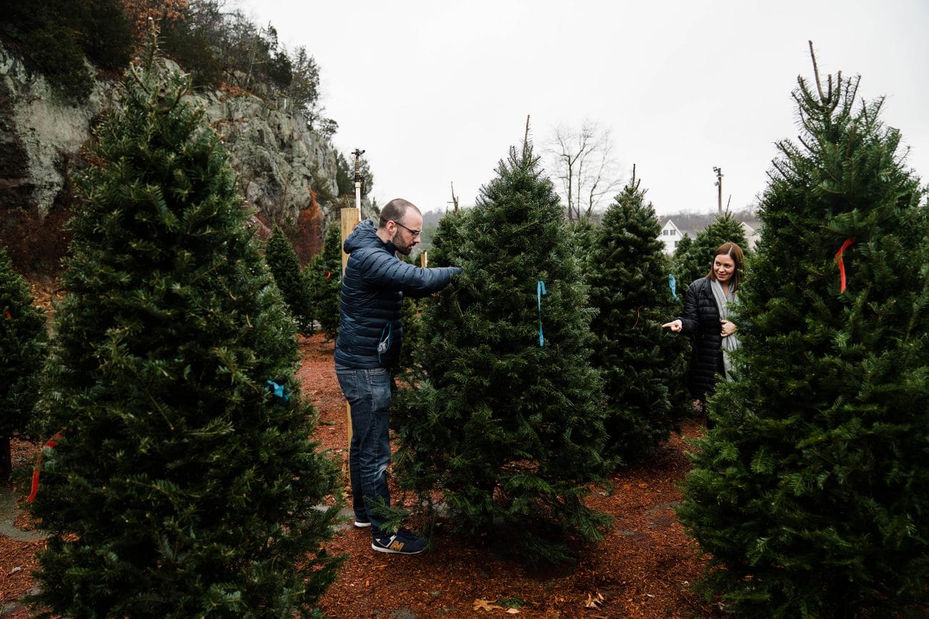 A best of Boston family photograph of parents looking for their Christmas tree during an day in the life family session in Boston