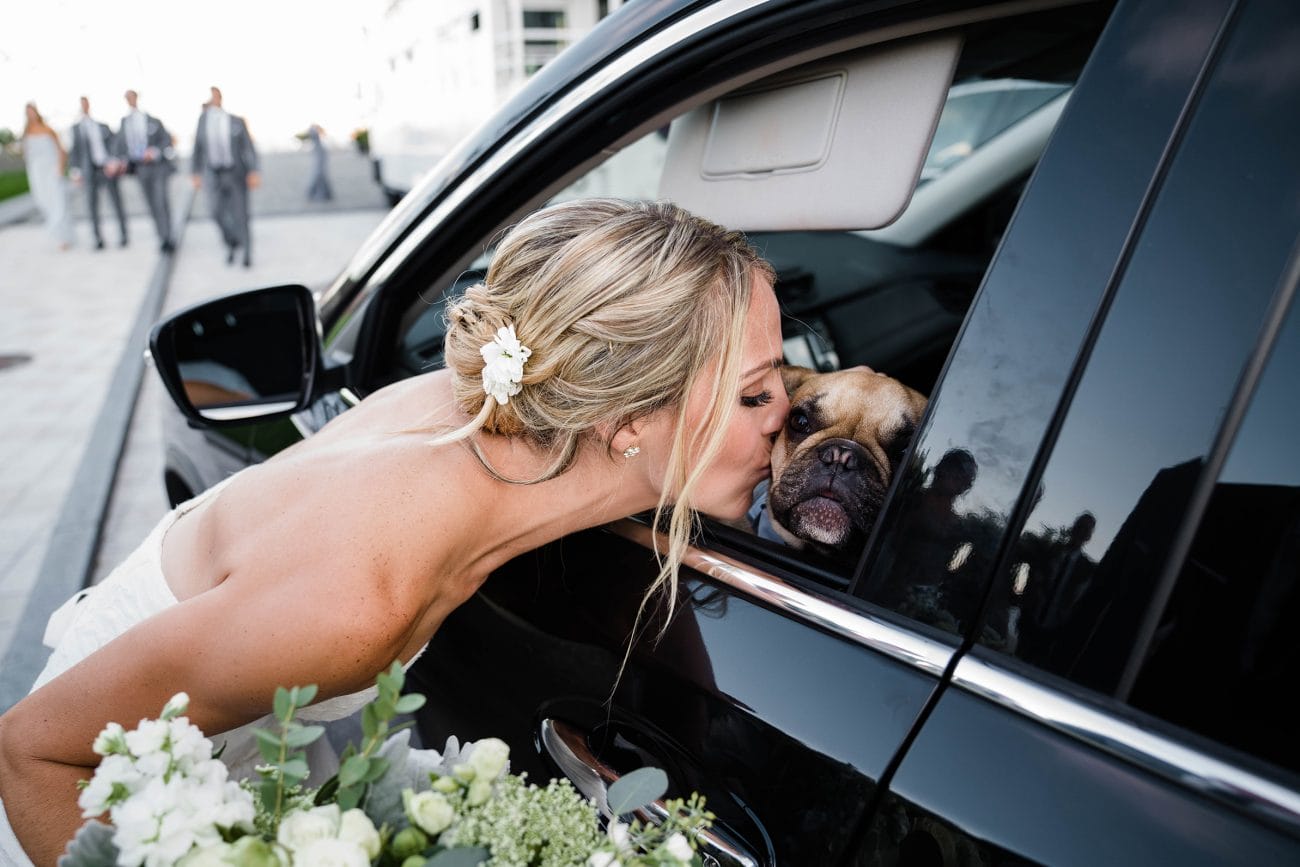 A best of Boston wedding photograph of a bride kissing her dog as she leaves for her State Room wedding in Boston