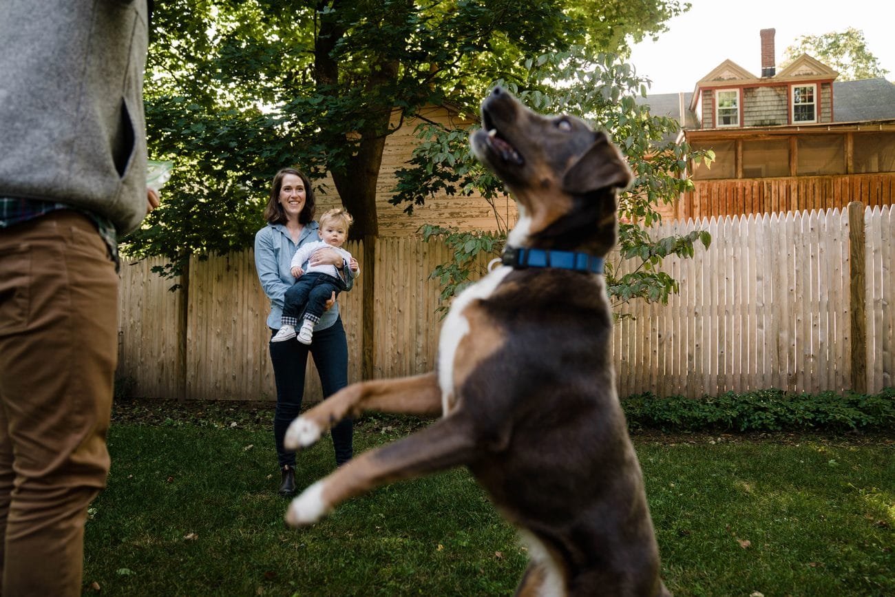 A documentary photograph of family playing with their dog during an in home family session in Boston