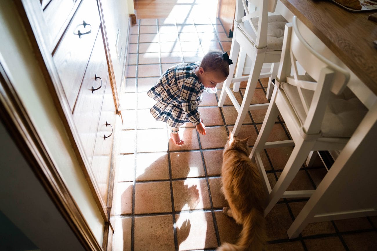 A documentary photograph of a girl feeding her cat during an in home family session in Boston